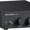 Fosi Audio TB10D Stereo Amplifier review 600W Power for Home Audio and Passive Speakers