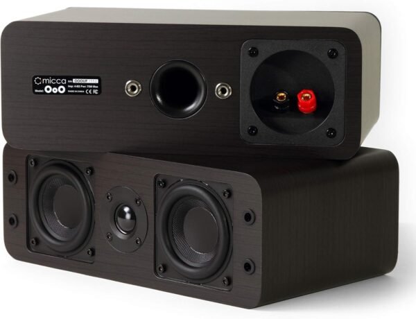 Micca OoO Passive Slim Bookshelf Speakers review Compact Design with Impressive Sound Quality