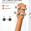 Donner Concert Ukulele DUC-1 23 Review Best Beginner-Friendly Mahogany Instrument Bundle