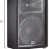 JBL JRX212 Passive Speaker Review Exceptional Sound for DJs and Live Performances
