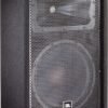 JBL JRX212 Passive Speaker Review Exceptional Sound for DJs and Live Performances